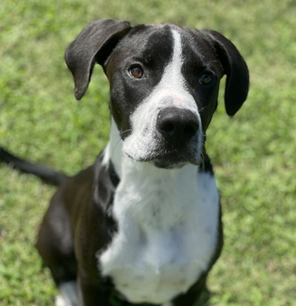 2021-08-23-140528-Toby