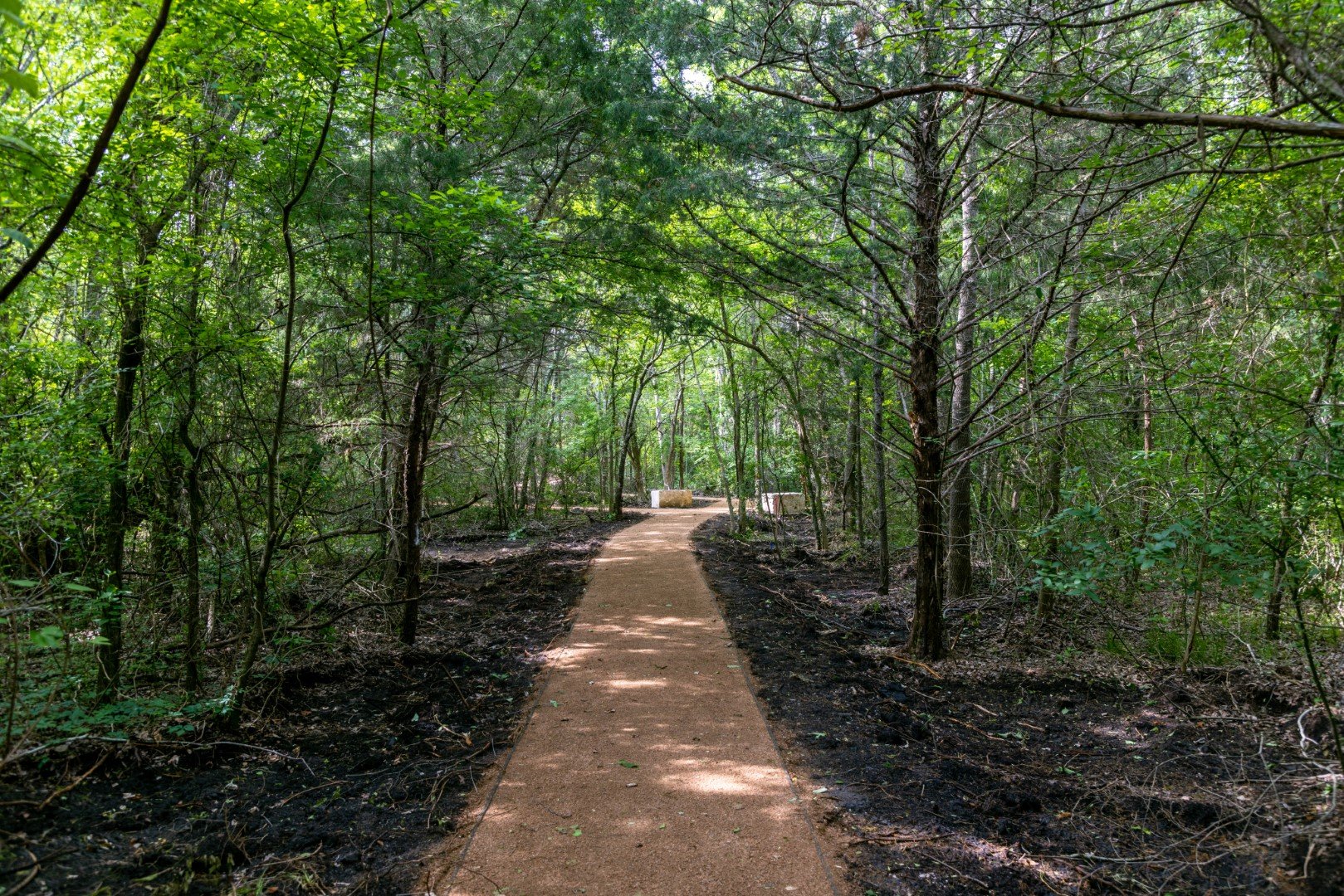 idea-CX6A5473-large-crossover-nature-trail