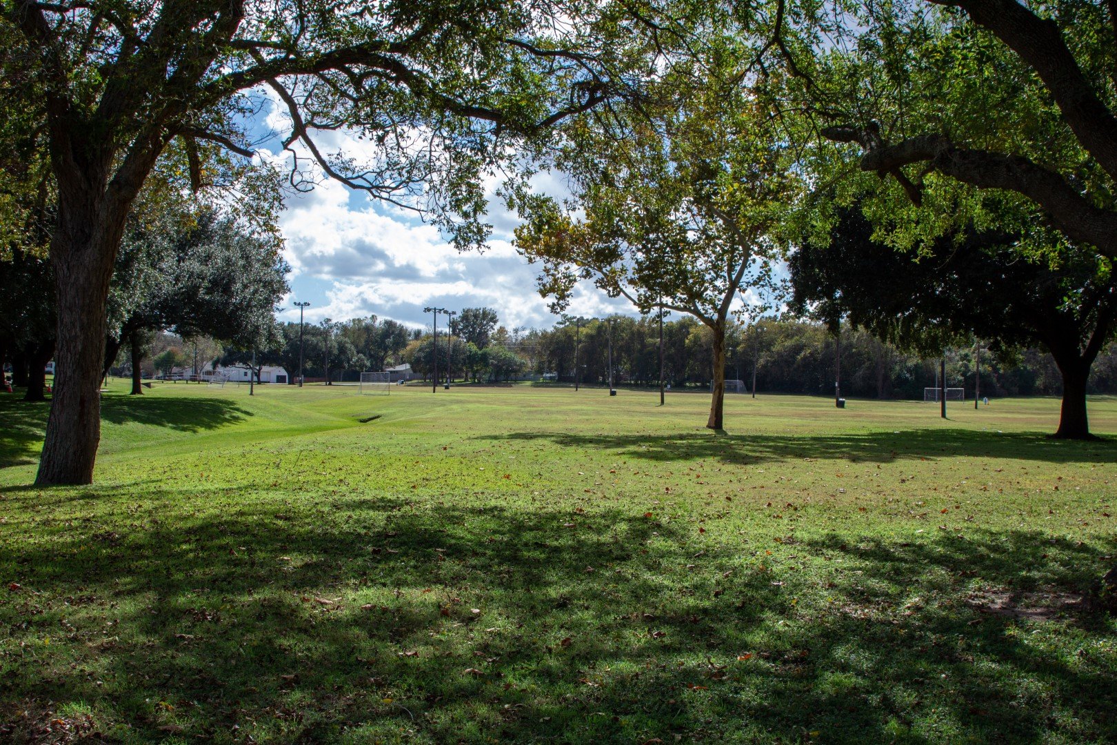 Field and trees view from the walking trail at Jackson Street Park
