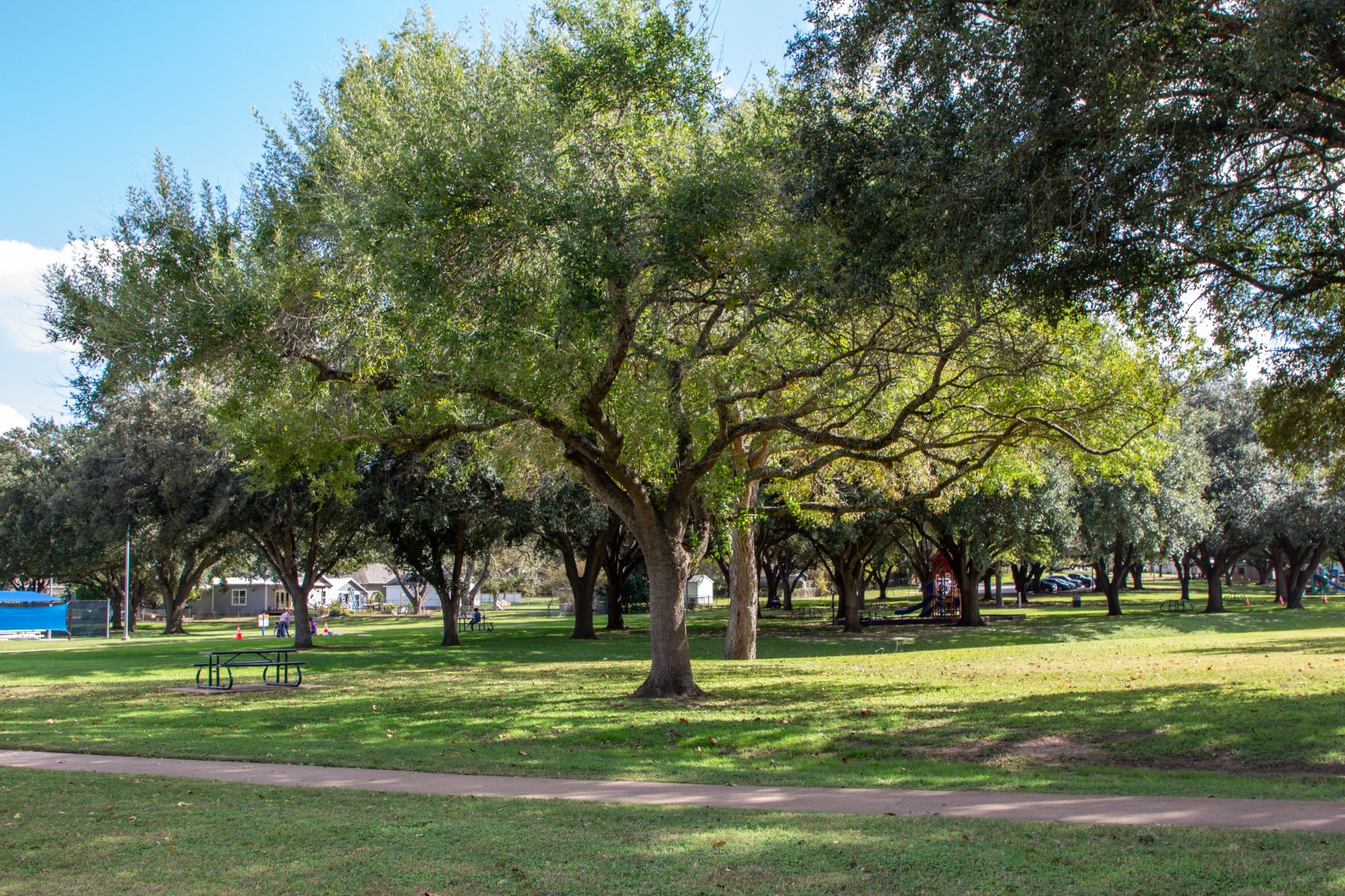 jackson-street-park-idea-img-4106-large