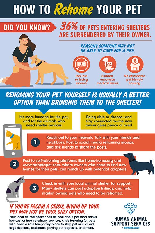 How to rehome your pet infographic - text below - links to source image on facebook.