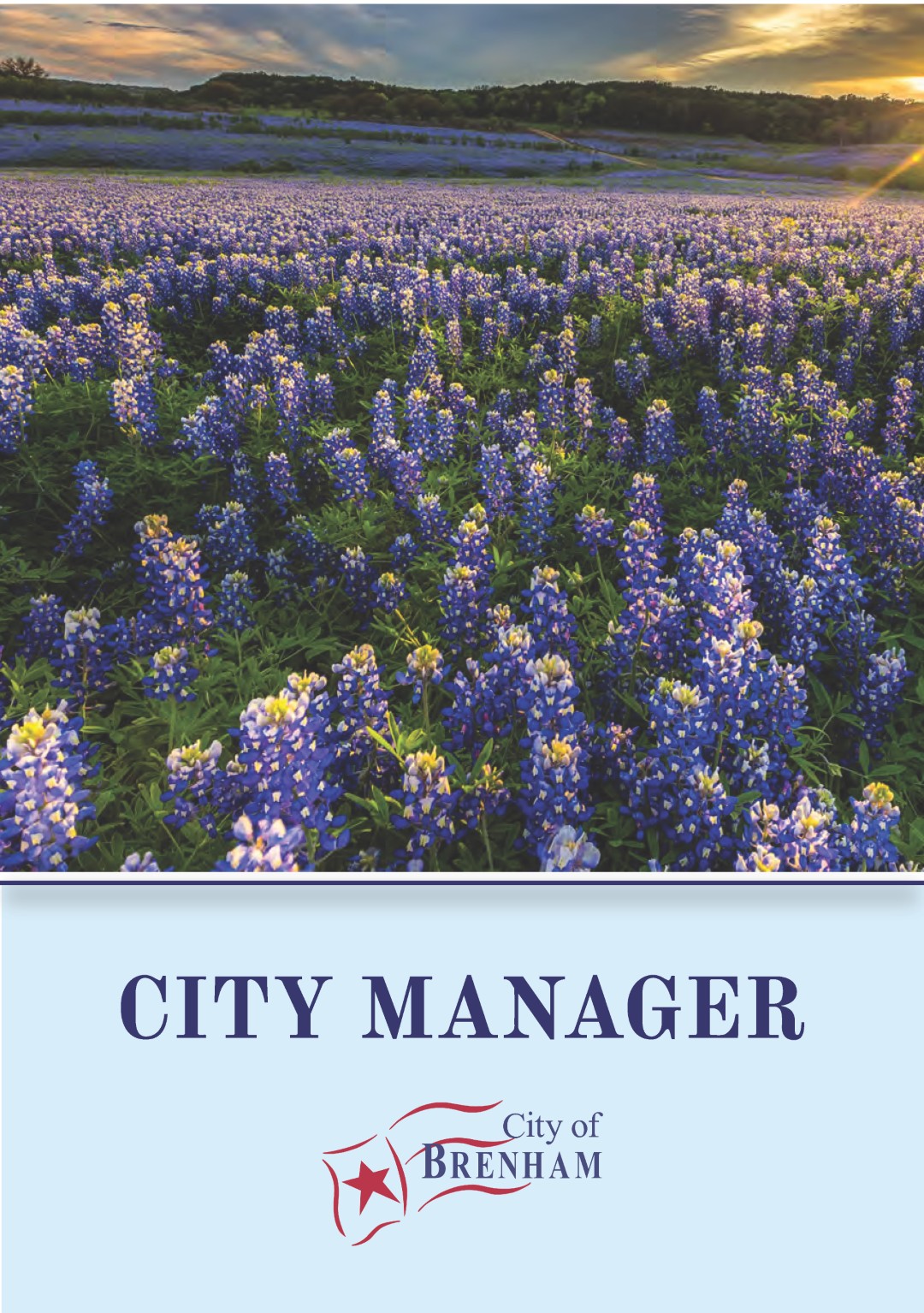 City Manager Brochure - click for PDF