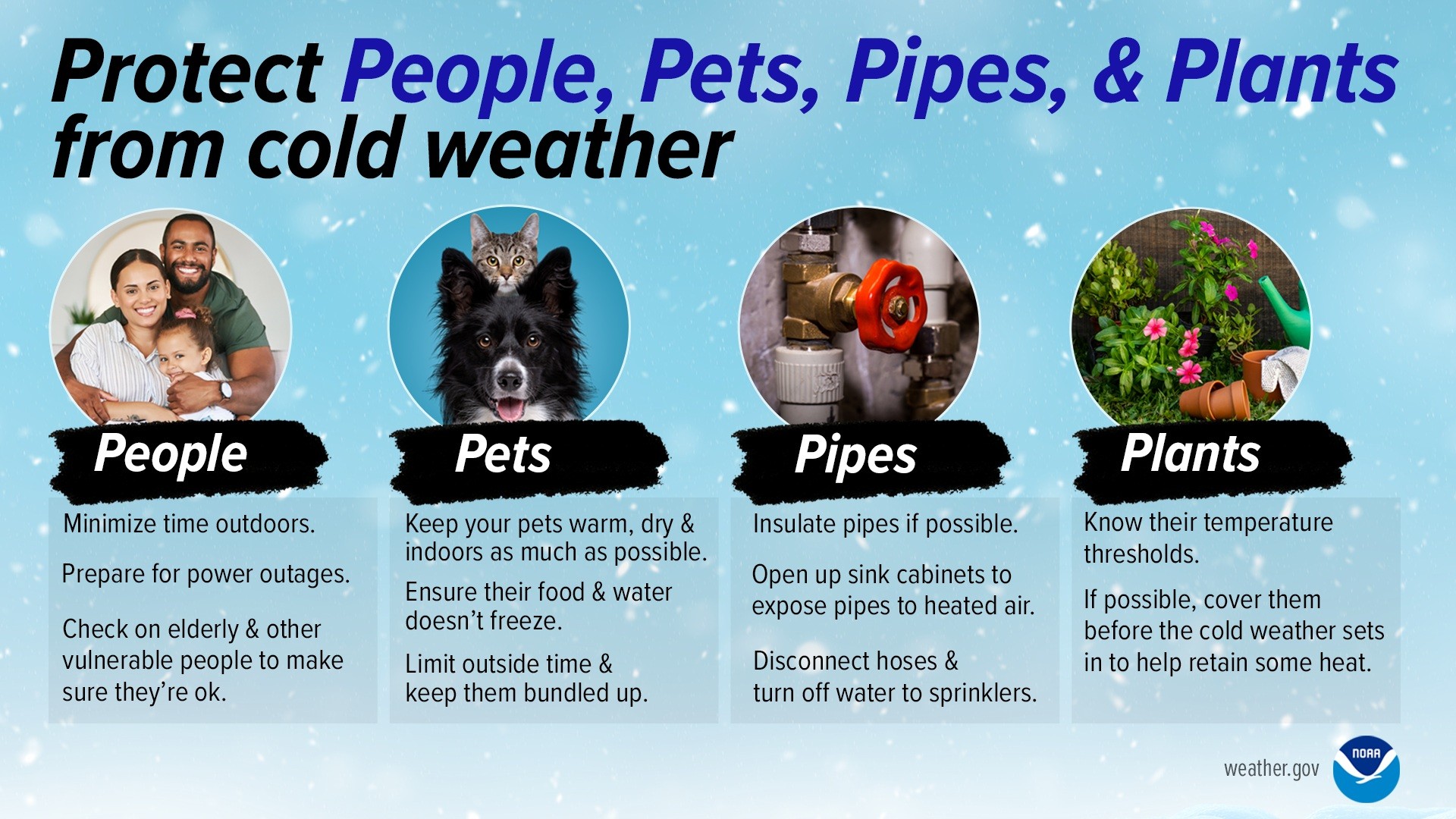 Protect people, pets, pipes, and plants from cold weather - people: minimize time outdoors. prepare for power outages. check on elderly and other vulnerable people to make sure they're ok. Pets: keep your pets warm, dry and indoors as much as possible. ensure their food and water doesn't freeze. limit outside time and keep them bundled up. pipes: insulate pipes if possible. open sink cabinets to expose pipes to heated air. disconnect hoses and turn off water to sprinklers. plants: know their temperature thresholds. if possible, cover them before the cold weather sets in to help retain some heat.