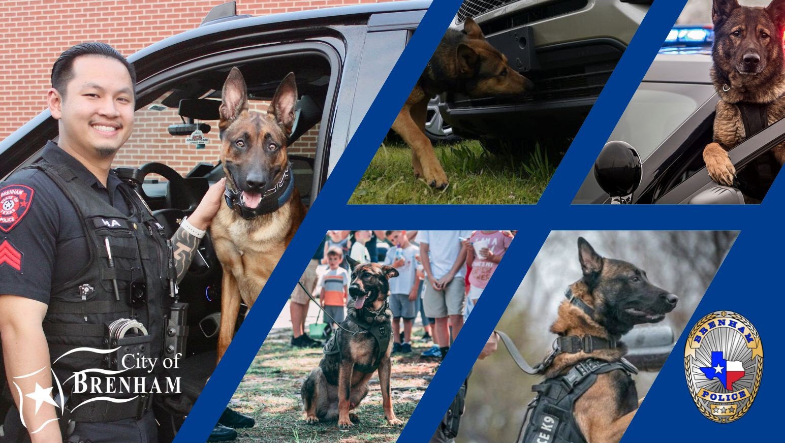 collage of police officer stands next to k-9 unit while dog is also depicted doing different jobs as a k-9 animal